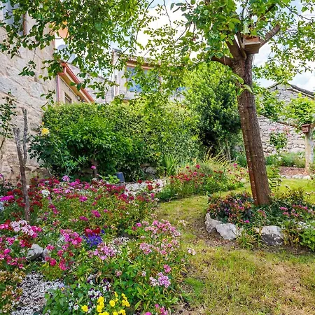 Pazos Guest house 3*