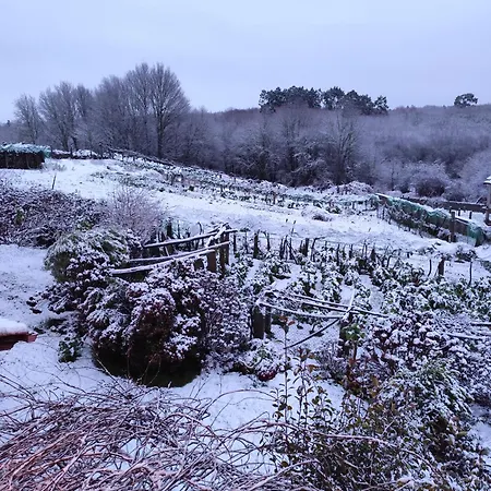 Pazos ゲストハウス セア
